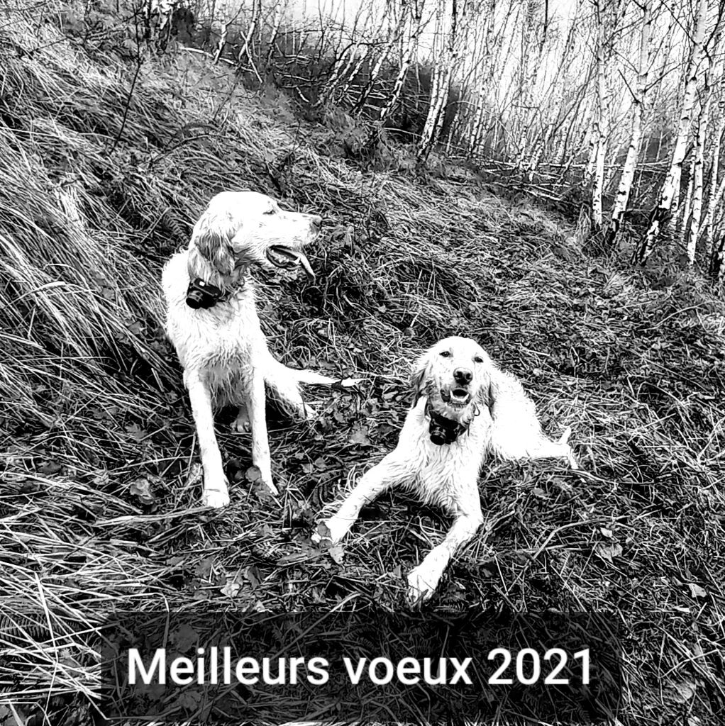 Des pics Bigourdans - Nouvelle année, nouveaux projets...