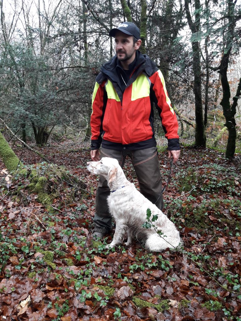 Des pics Bigourdans - 03/12/2018 CALLAC (Couple bécasse)